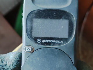 Motorola foto 2