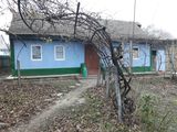 Продается дом 20 соток, в центре села Кошница. foto 1