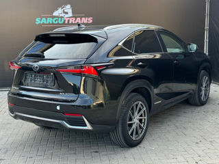 Lexus NX Series foto 4