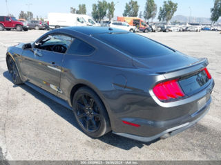 Ford Mustang foto 4