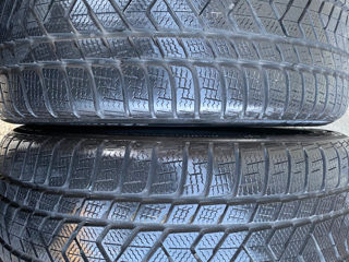 245/45 275/40 R19 Pirelli foto 10