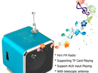 Колонка Bluetooth с Radio и с поддержкой карты памяти Micro SD и USB. фото 8