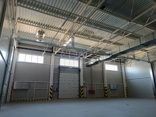 Chirie Depozit / producere 3000m2 str. Uzinelor foto 6