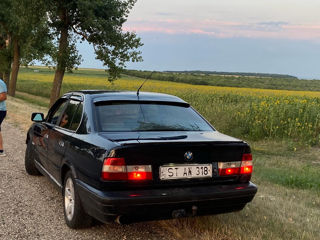 BMW 5 Series foto 5