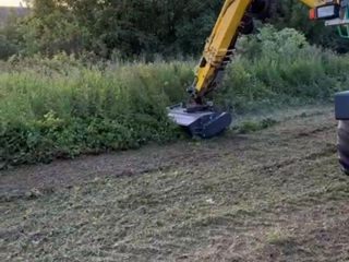 Defrisarea frezarea si cosirea ierbii si arbustilor foto 3