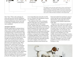 The Dog Encyclopedia: The Definitive Visual Guide (DK Pet Encyclopedias) foto 7