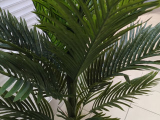 palmier artificial foto 4