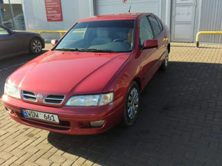 Nissan Primera foto 2