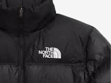 Scurta the north face foto 3