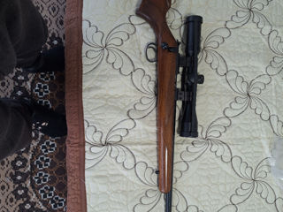 Cz455 american