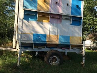 Продаю пчелопавильон на колёсах на 30 семьей foto 1