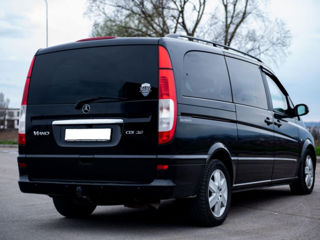 Mercedes Viano foto 9