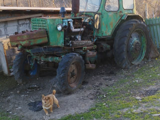 ЮМЗ tractor foto 1