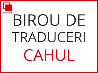 Traduceri profesionale Diplom. Apostilă. Legalizarea Chișinău Bălți Cahul Comrat Drochia foto 9