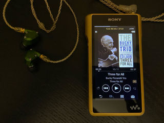 Sony WM1Z Walkman foto 1