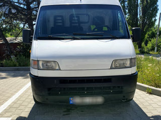 Fiat ducato