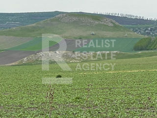 Teren agricol cu livadă și o suprafață de 260 ha în satul Cuconeștii Noi foto 5