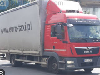 Daf foto 10