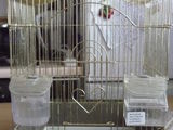 Срочно!!! продам клетку для попугая и курточку для собачки (типа пекинеса) или меняю на по-больше! foto 1