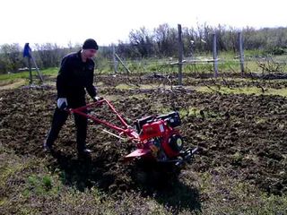 Motocultoare: Buivol, Zubr, Villager foto 7