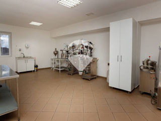 Proprietate specială de vânzare Fabrică de producere a medicamentelor de uz veterinar foto 14