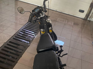 Alpha Moto foto 2