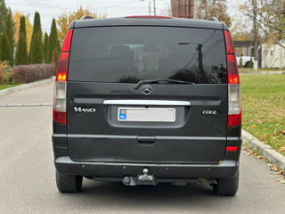 Mercedes Viano foto 5