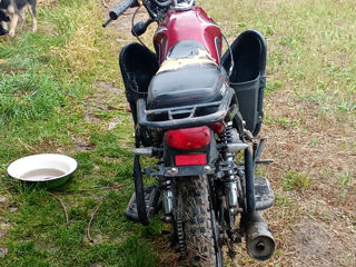 Alpha Moto Chimp foto 2