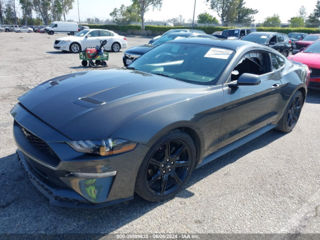 Ford Mustang foto 3