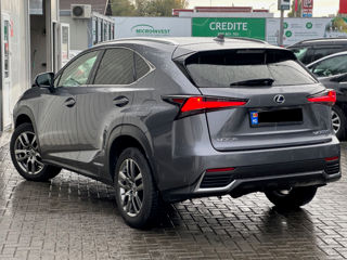 Lexus NX Series foto 4