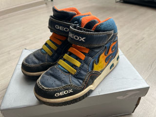 Geox, Jack Wolfskin foto 3