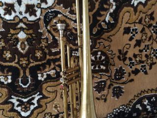 Trombon amati