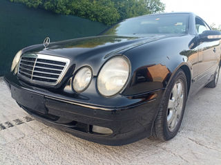 Mercedes Clk foto 5