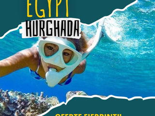 Горящий тур в Египте!Kаникулы в Хургаде! Вылеты 02-го 04-го 06-го 07-го 09-го МАЯ! foto 8
