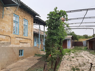 Дом в селе Valea Perjei, Ciadir Lunga, 145km от Кишинева foto 4