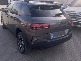 Citroen C4 Cactus foto 4