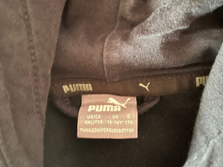 Zip Puma foto 3