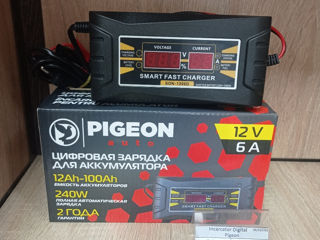Incarcator Digital Pigeon 250 lei