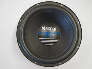 Dinamic 30 cm.   300 watt