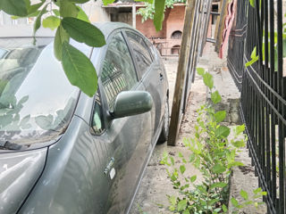 Toyota Prius foto 3