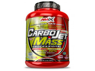 Гейнер для набора мышечной массы  AMIX CARBOJET MASS PROFESSIONAL