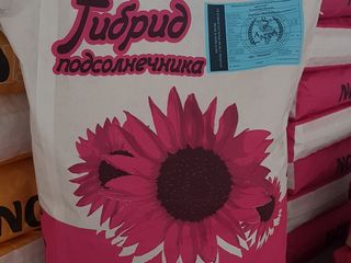 Гибриды подсолнечника: Дрофа,ТГР 8,Чентросол,Рубисол,Ориосол,Фортуна Кл,Регина Кл,ТГР 21 и др.