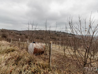 Se vinde Teren pentru construcții în s. Peresecina, zona de vile "La Chiperi", lângă padure! foto 5