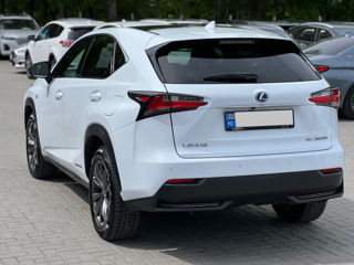 Lexus NX Series foto 5