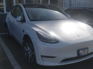 Tesla Model Y foto 10