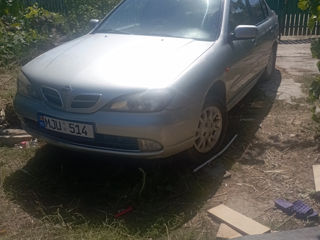 Nissan Primera