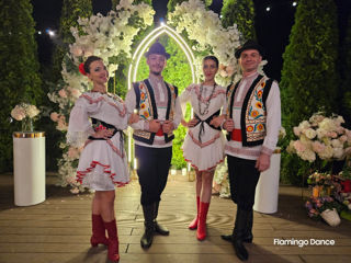 Dansatori la cumatrii, dansatori la nunta  moldova foto 8
