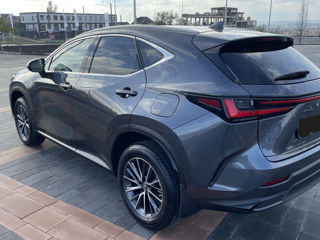 Lexus NX Series foto 4