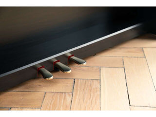 Цифровое пианино Kawai CN301 Black, 88 клавиш, Новое, Гарантия | MusicShop фото 5