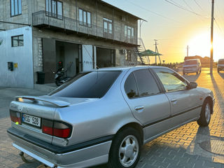 Nissan Primera foto 4